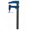 Serre-joint à pompe saillie 120mm (35x9)