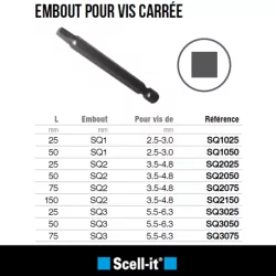 Embout pour vis empreinte carrée